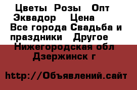 Цветы. Розы.  Опт.  Эквадор. › Цена ­ 50 - Все города Свадьба и праздники » Другое   . Нижегородская обл.,Дзержинск г.